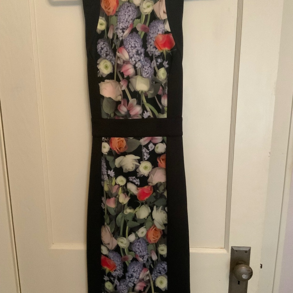 Ted Baker London midi dress, Sz 2